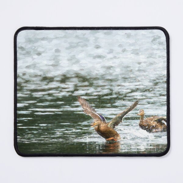 Item preview, Digital illustration of two Mallard ducks taking off. designed and sold by RobThorley.