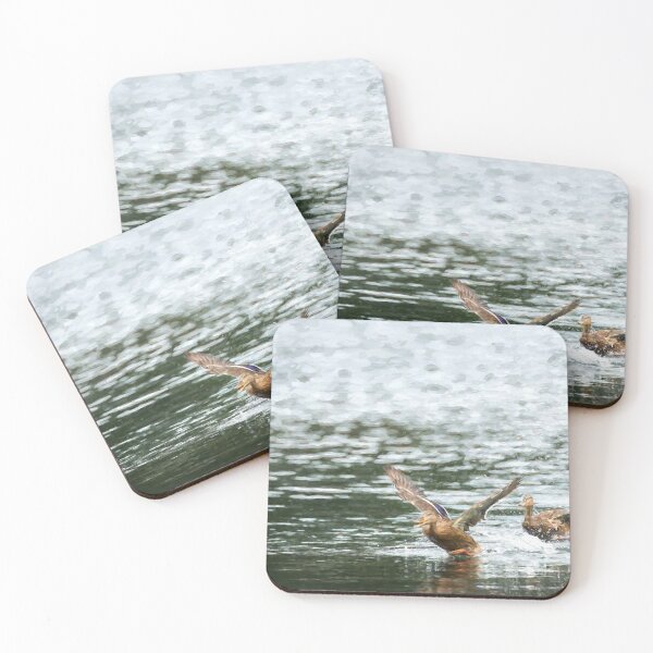 Item preview, Digital illustration of two Mallard ducks taking off. designed and sold by RobThorley.