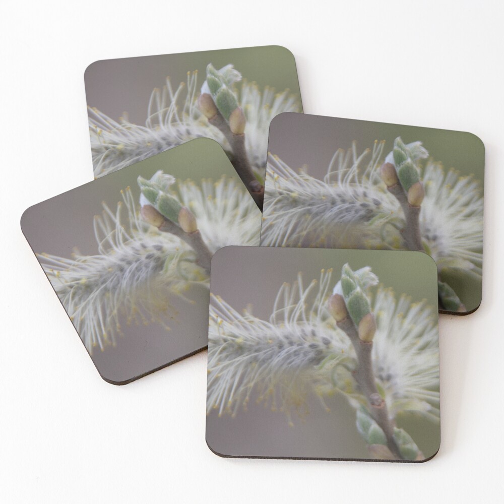 Item preview, Coasters (Set of 4) designed and sold by steffik.