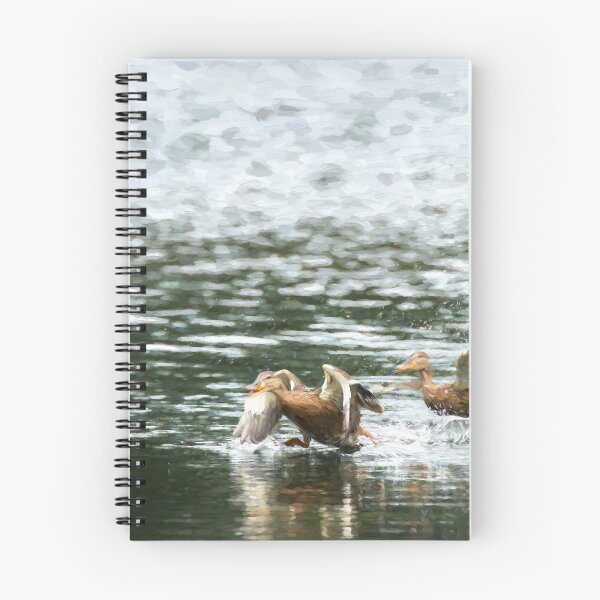 Item preview, Digital illustration of two Mallard ducks taking off. designed and sold by RobThorley.