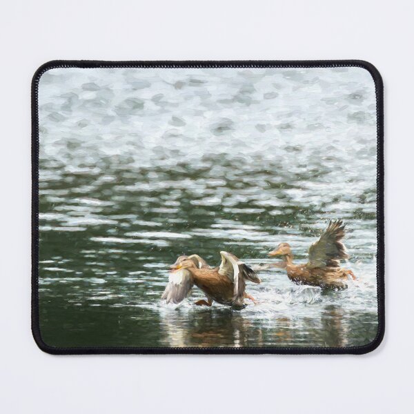 Item preview, Digital illustration of two Mallard ducks taking off. designed and sold by RobThorley.