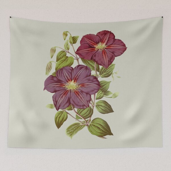 Aperçu de l'œuvre Dark Pink Purple Clematis Botanical Floral créée et vendue par stargazerhill.