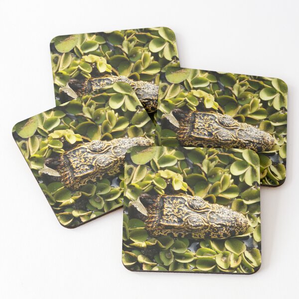 Item preview, Yacare Caiman in Water Hyacinth designed and sold by acwb.