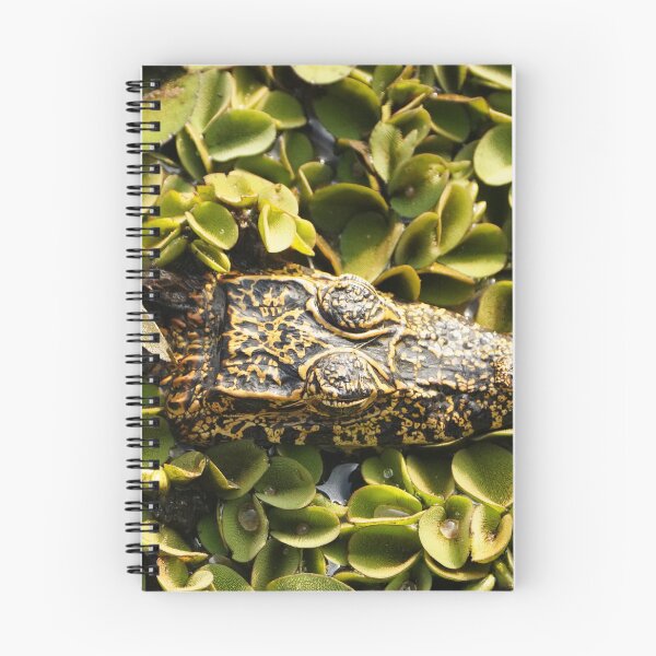 Item preview, Yacare Caiman in Water Hyacinth designed and sold by acwb.