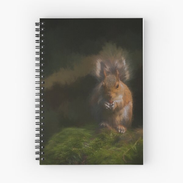 Item preview, Grey Squirrel digital illustration sitting on a wall. designed and sold by RobThorley.