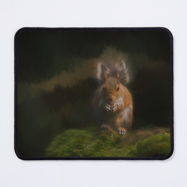 Item preview, Grey Squirrel digital illustration sitting on a wall. designed and sold by RobThorley.