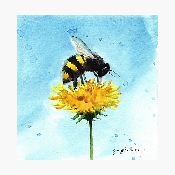 Smudgy Bee Gets Pollen Photographic Print