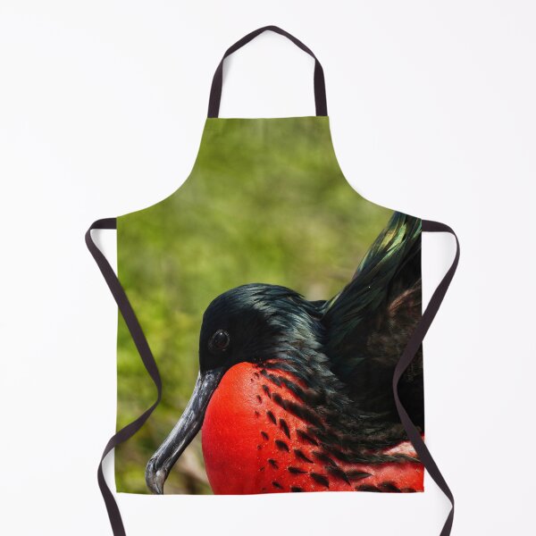 Item preview, Showing Off Frigate Bird designed and sold by acwb.