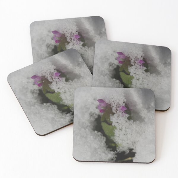 Item preview, Purple dead-nettle in the snow designed and sold by Calidris Fotografie Steffi & Ben Köppler.