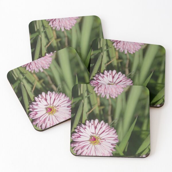 Item preview, Daisy designed and sold by Calidris Fotografie Steffi & Ben Köppler.