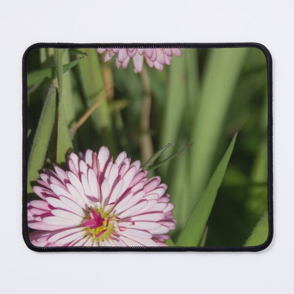 Item preview, Daisy designed and sold by Calidris Fotografie Steffi & Ben Köppler.