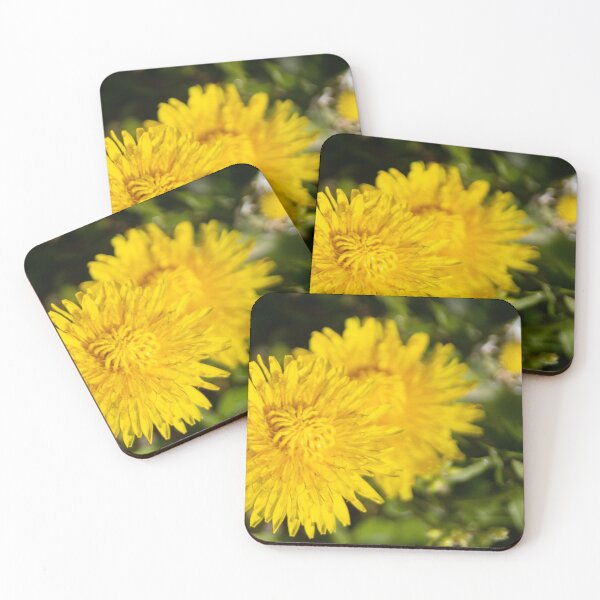 Item preview, Dandilion designed and sold by Calidris Fotografie Steffi & Ben Köppler.