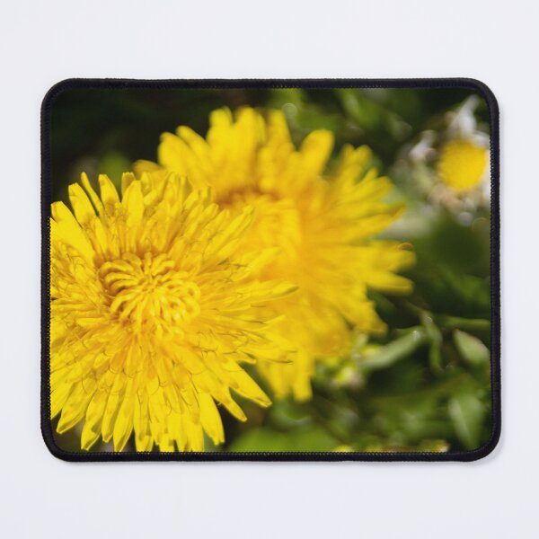 Item preview, Dandilion designed and sold by Calidris Fotografie Steffi & Ben Köppler.