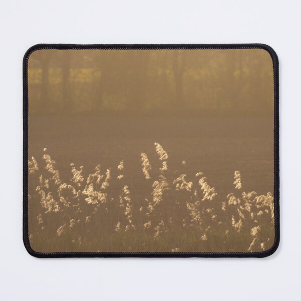 Item preview, Backlight designed and sold by Calidris Fotografie Steffi & Ben Köppler.