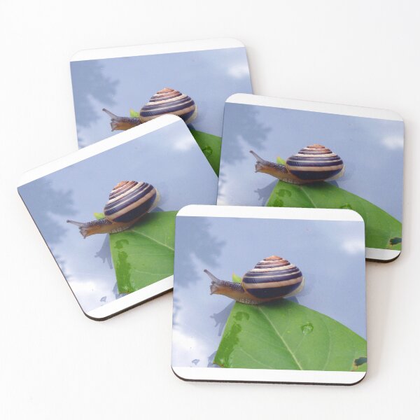 Item preview, Snail Exploring New Worlds designed and sold by CheekyChimpCo.