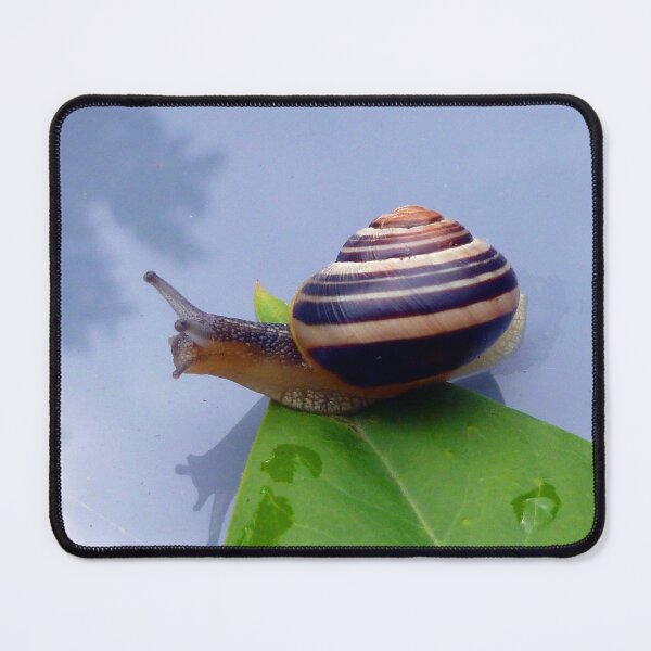 Item preview, Snail Exploring New Worlds designed and sold by CheekyChimpCo.