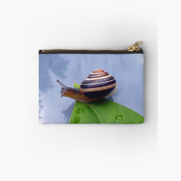Item preview, Snail Exploring New Worlds designed and sold by CheekyChimpCo.