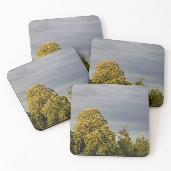 Item preview, Trees and Clouds designed and sold by Calidris Fotografie Steffi & Ben Köppler.