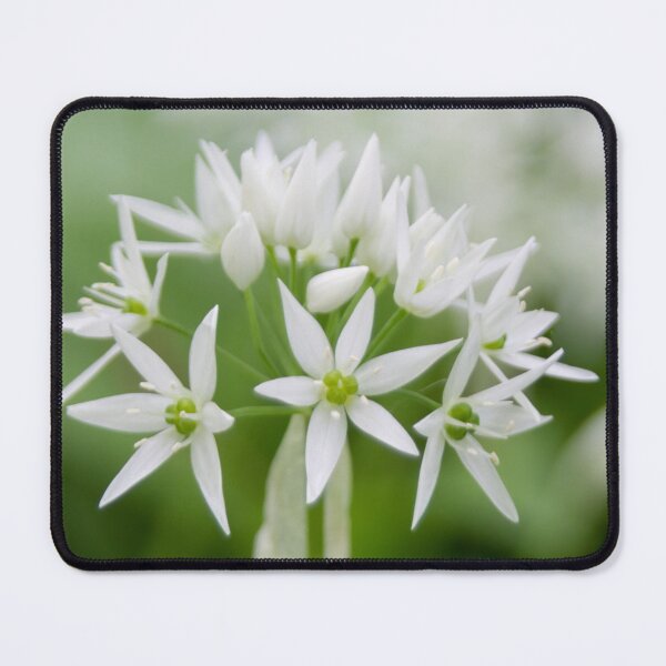 Item preview, Bear Leek designed and sold by Calidris Fotografie Steffi & Ben Köppler.