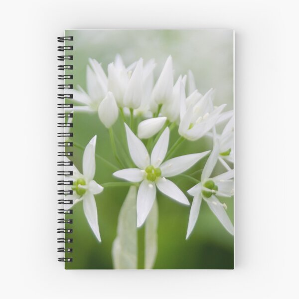 Item preview, Bear Leek designed and sold by Calidris Fotografie Steffi & Ben Köppler.