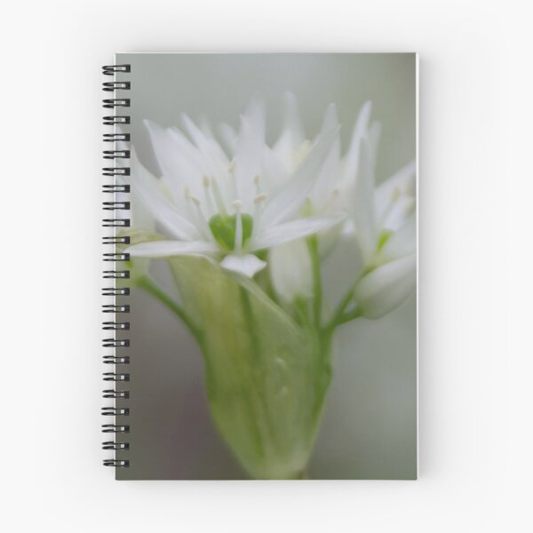 Item preview, Bear Leek designed and sold by Calidris Fotografie Steffi & Ben Köppler.