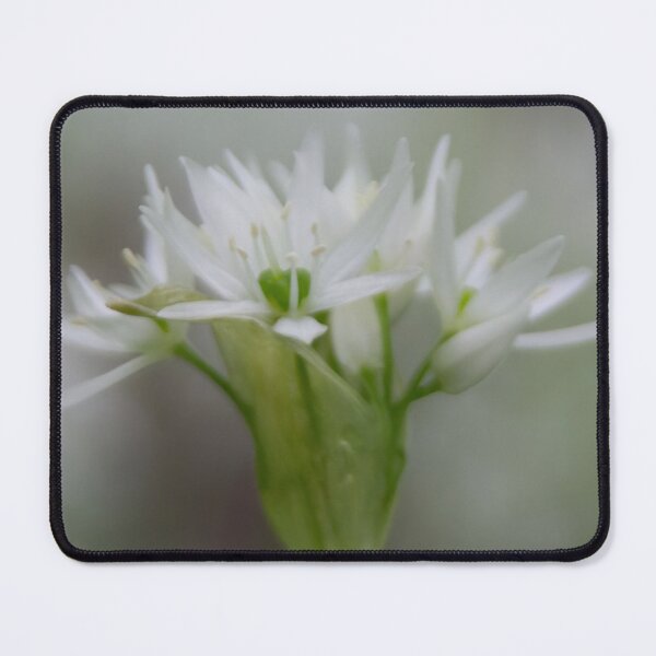Item preview, Bear Leek designed and sold by Calidris Fotografie Steffi & Ben Köppler.