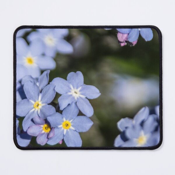 Item preview, Wood Forget-me-not designed and sold by Calidris Fotografie Steffi & Ben Köppler.