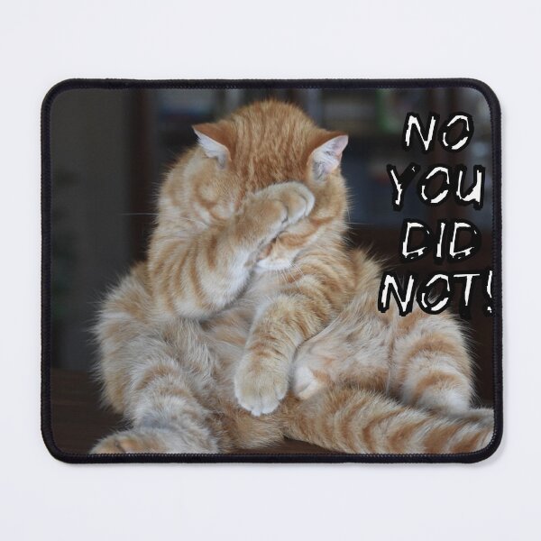 Item preview, No You Did Not! designed and sold by Surreallytee.