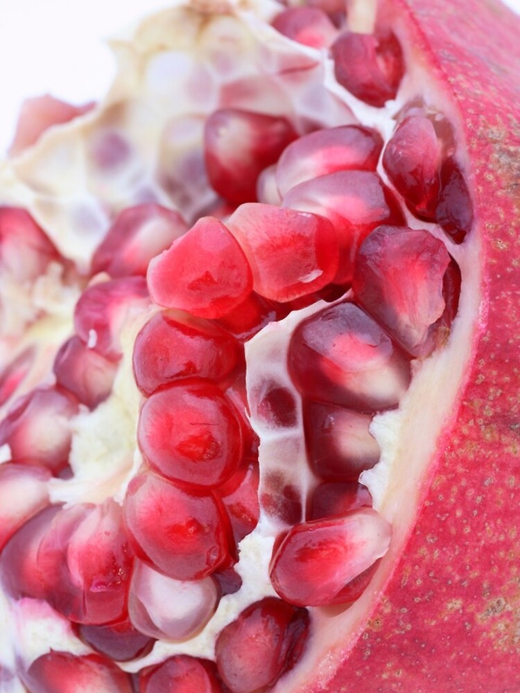 Pomegranate by gardenpictures