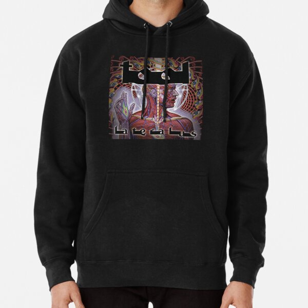 Tool 2025 lateralus hoodie