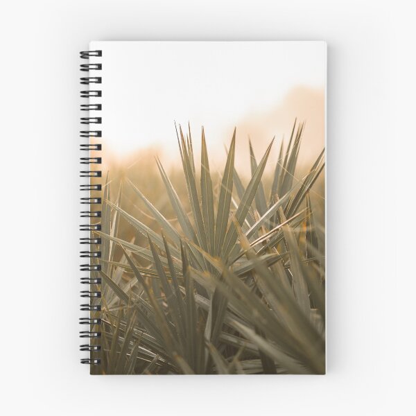 Item preview, Saw Palmetto at Sunrise in Florida designed and sold by brayphoto.
