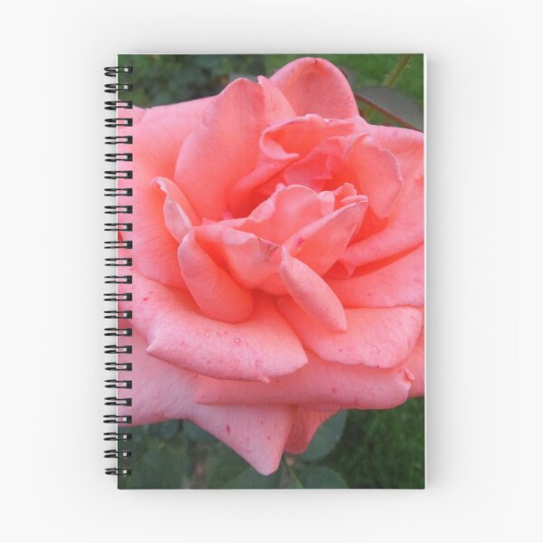 Item preview, rose photo products "Pick Me" designed and sold by Mzzart.