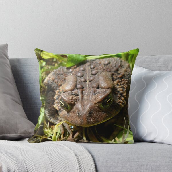 Item preview, toad photo art products: "Loved, Warts and All" designed and sold by Mzzart.