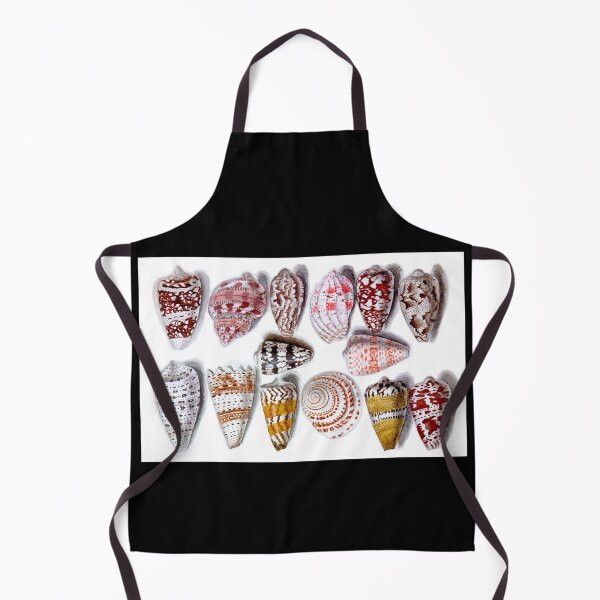 Item preview, 14 Colorful Seashells 15-1600s Century French Watercolor designed and sold by RocketshipRetro.