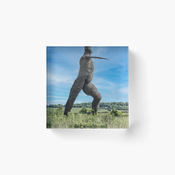 Item preview, Willow Man designed and sold by kathleenjean.