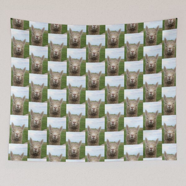Item preview, Cute Alpaca designed and sold by LearsInteriors.