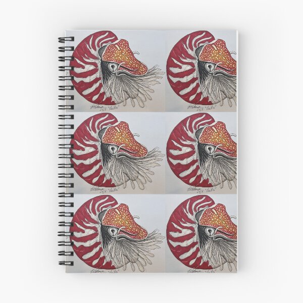 Item preview, Nautilus  designed and sold by PokeyMgbgt.