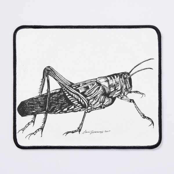 Item preview, pen and ink grasshopper hand-drawn designed and sold by ArtistrybyLeisa.