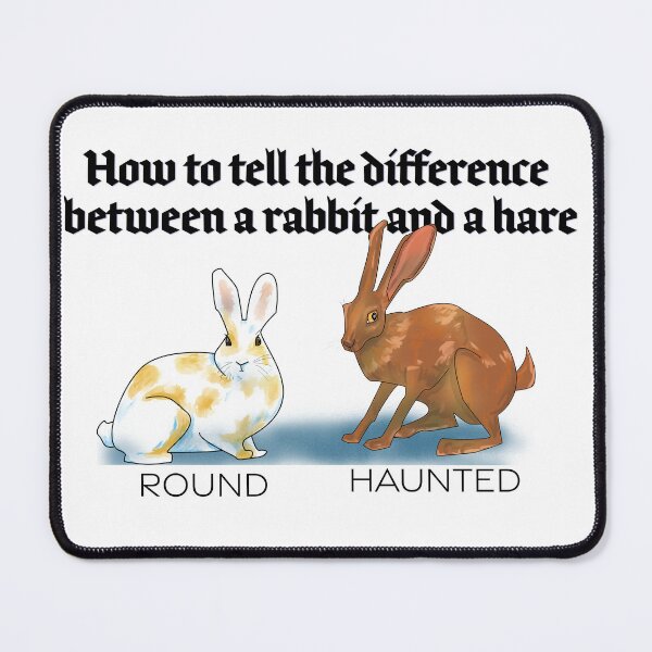 Item preview, How to tell the difference between a rabbit and a hare designed and sold by Apricity-.