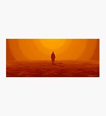 Blade Runner 2049 Photographic Print