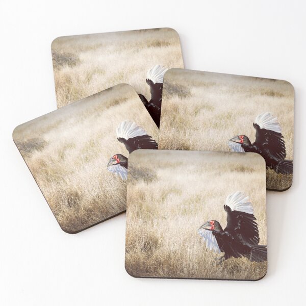 Item preview, Southern Ground Hornbil designed and sold by Harlekyn.
