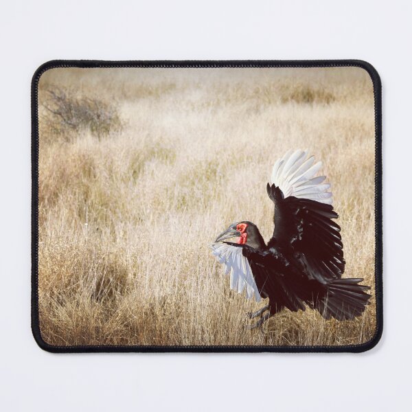 Item preview, Southern Ground Hornbil designed and sold by Harlekyn.