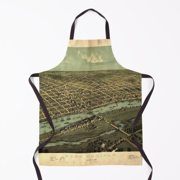 Item preview, East Saginaw, Michigan (1867) designed and sold by allhistory.