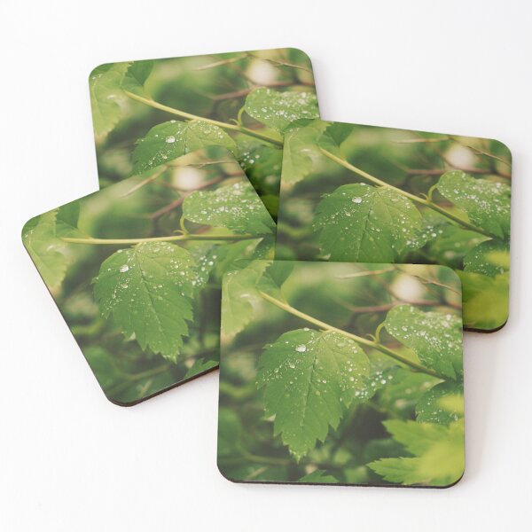 Item preview, Drops of water at green leaves designed and sold by riku05830.