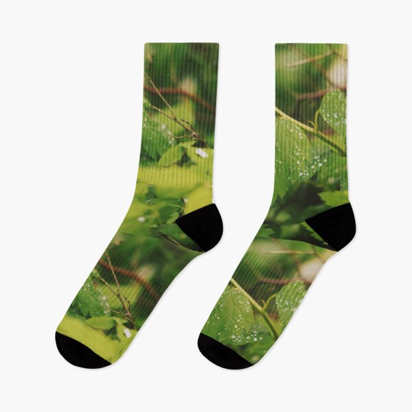 Item preview, Drops of water at green leaves designed and sold by riku05830.