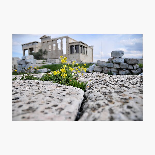 Item preview, Acropolis and Flowers designed and sold by wyllys.