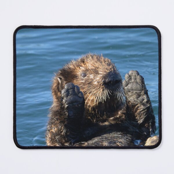 Item preview, Sea Otter waving to the crowd designed and sold by penra.