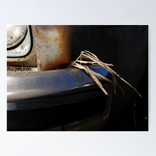 Item preview, Grass designed and sold by J Rier Photography.