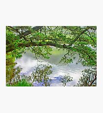 Breathe Photographic Print