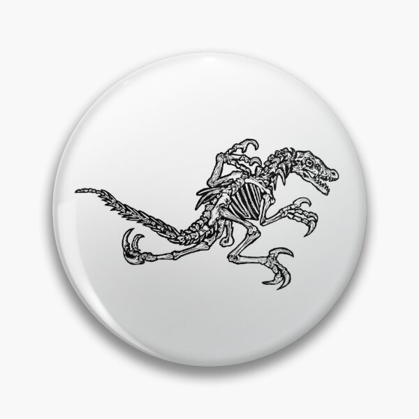Item preview, Raptor skeleton  designed and sold by AderynValentine.